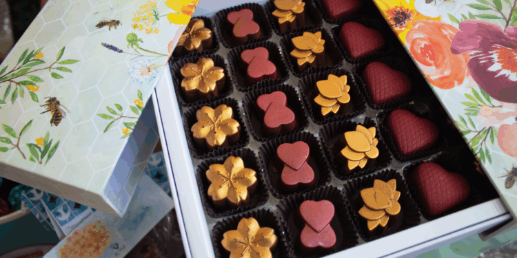 Casapark recebe a 13ª Panela Candanga