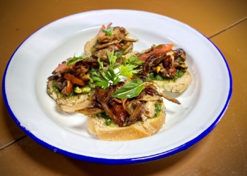 Vai começar o Festival Giro Vegano em Brasília