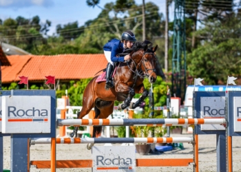 Na Sociedade Hípica de Brasília, mulheres mostrarão graça e coragem no Campeonato Brasiliense de Amazonas