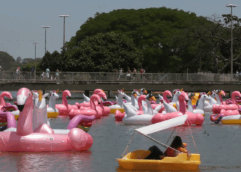 Veja o que abre e fecha no feriado de Proclamação da República