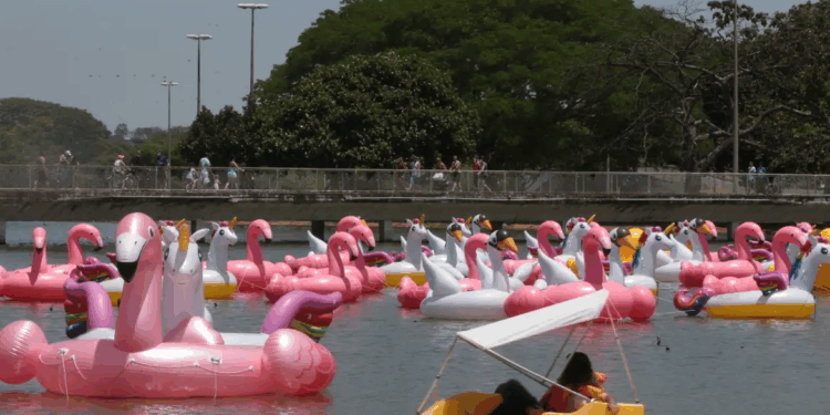 Veja o que abre e fecha no feriado de Proclamação da República