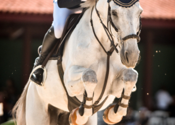 Campeonato Nacional de Salto vai abrilhantar fim de semana em Brasília