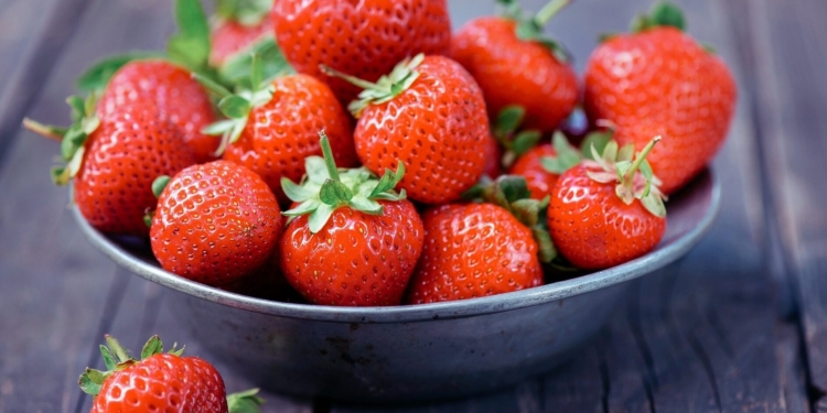 Altas temperaturas: Confira 3 frutas que contribuem na hidratação do corpo