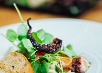 Gastronomia refrescante: descubra as opções leves em restaurantes de Brasília