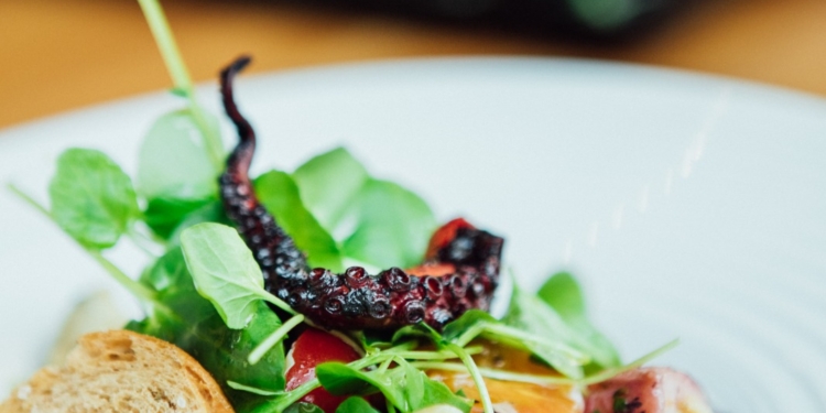 Gastronomia refrescante: descubra as opções leves em restaurantes de Brasília