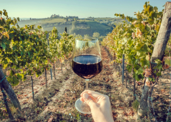 Governo vai traçar estratégias de fortalecimento do enoturismo no Distrito Federal