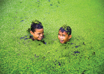 Exposição “Água é Vida” promovida pela Embaixada dos Países Baixos promove chega à Samambaia
