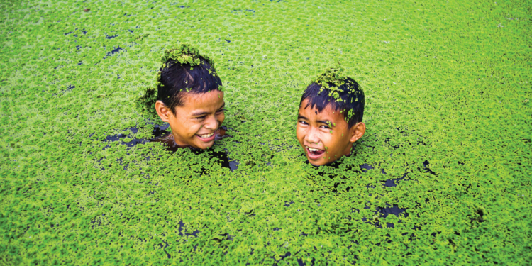 Exposição “Água é Vida” promovida pela Embaixada dos Países Baixos promove chega à Samambaia