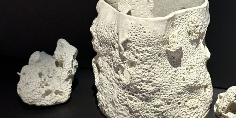 Hill House inaugura espaço dedicado à Decameron