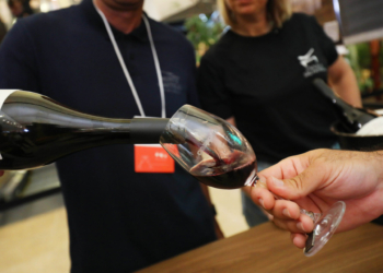 Casapark recebe edição do “Vinho na Vila 2024” de 24 a 26 de maio