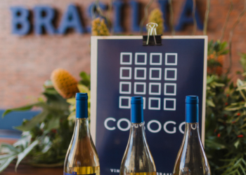 Vinícola Brasília oferece tours e degustações guiadas para os amantes do vinho