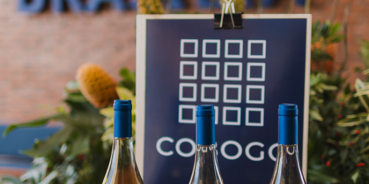 Vinícola Brasília oferece tours e degustações guiadas para os amantes do vinho