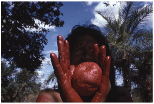 CCBB traz para Brasília a exposição “Hiromi Nagakura até a Amazônia com Ailton Krenak”