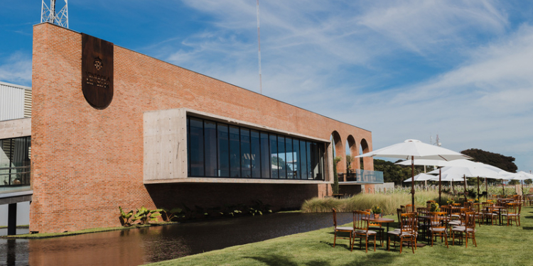 Vinícola Brasília brinda o Dia Nacional do Vinho com mais de 1500 visitantes