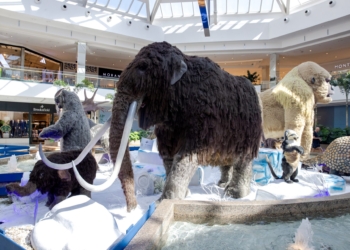 Confira a programação de férias do ParkShopping