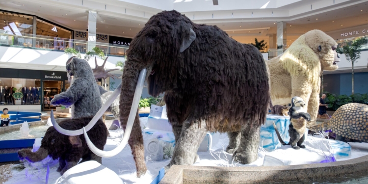 Confira a programação de férias do ParkShopping