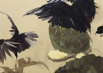 Cerrado Galeria lança projeto cultural de mostras, residências artísticas e formação educativa