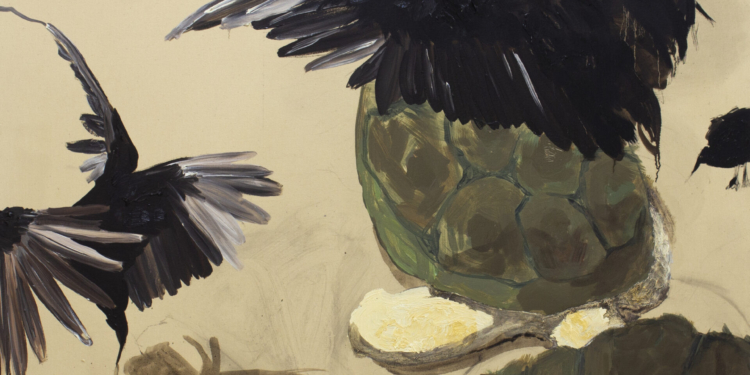 Cerrado Galeria lança projeto cultural de mostras, residências artísticas e formação educativa