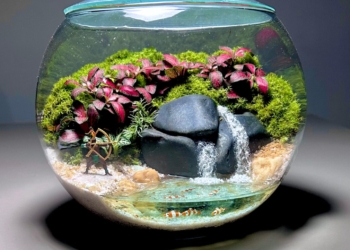 Feira de artigos botânicos, cerâmicas e oficinas gratuitas desembarca no Casapark