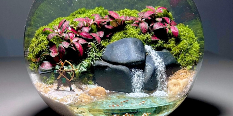 Feira de artigos botânicos, cerâmicas e oficinas gratuitas desembarca no Casapark