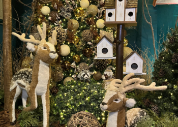 A “Vila do Papai Noel” chega ao Pátio Brasil em novembro