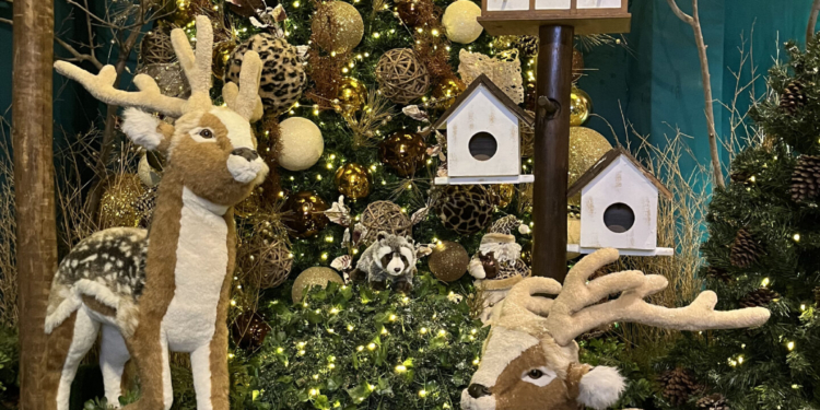 A “Vila do Papai Noel” chega ao Pátio Brasil em novembro