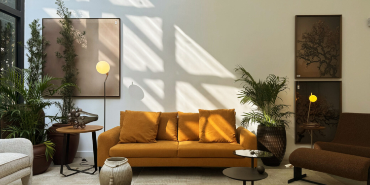 Mané Mercado recebe nova unidade da marca dane-se