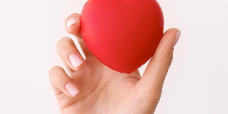 Terraço Shopping promove Halloween Solidário em parceria com o Hemocentro