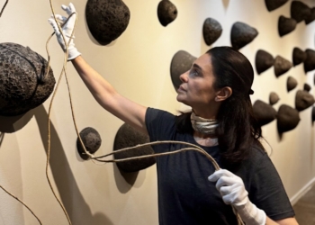 Da Terra que Somos: exposição de Sonia Dias une natureza e arte no Museu da República