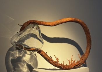 Da Terra que Somos: exposição de Sonia Dias une natureza e arte no Museu da República