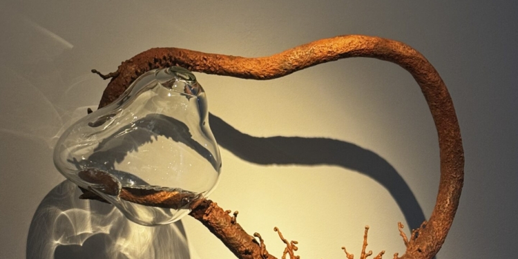 Da Terra que Somos: exposição de Sonia Dias une natureza e arte no Museu da República