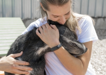 ONGs de resgate animal realizam jantar beneficente neste sábado (23)