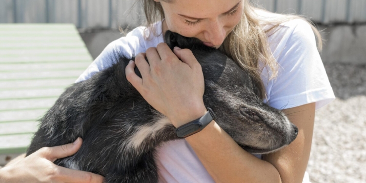 ONGs de resgate animal realizam jantar beneficente neste sábado (23)