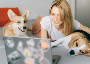 Governo cria Cadastro Nacional de Animais Domésticos, com número de identidade para cães e gatos