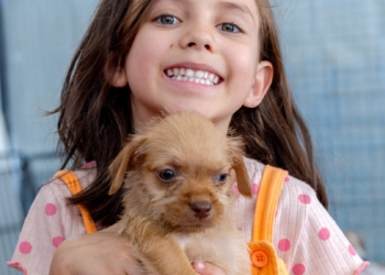 ParkPets inicia 2025 com novidade no ParkShopping