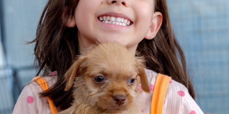 ParkPets inicia 2025 com novidade no ParkShopping