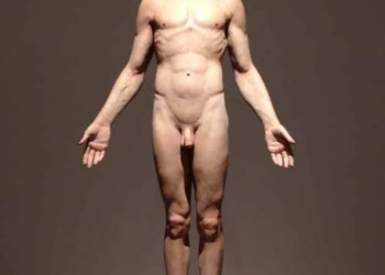 Últimos dias para visitar exposição ‘Hiper-realismo no Brasil’ na Caixa Cultural