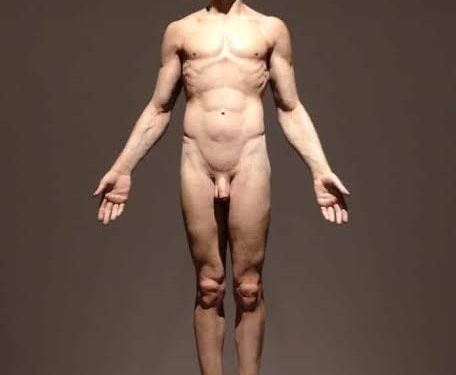 Últimos dias para visitar exposição ‘Hiper-realismo no Brasil’ na Caixa Cultural