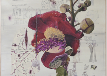 Galeria Karla Osório e a Embaixada da Italia apresentam exposição do artista italiano Lucio Salvatore