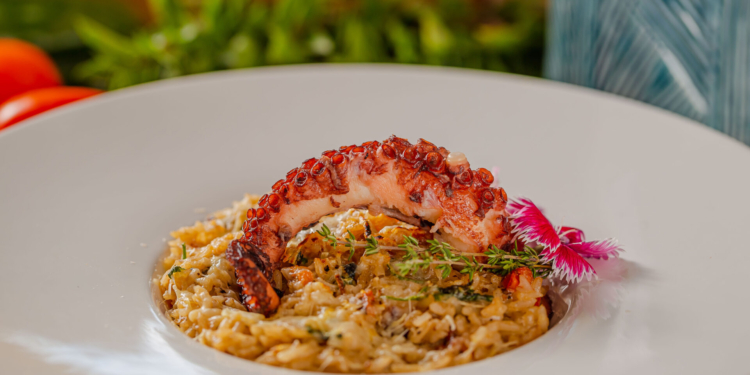 Restaurante NAU inaugura sua segunda unidade em Brasília, agora no Terraço Shopping
