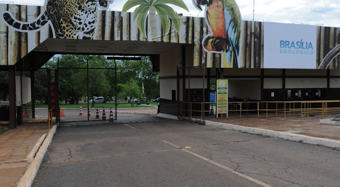 Zoológico de Brasília e Jardim Botânico terão acesso gratuito aos domingos e feriados