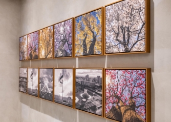 Pátio Brasil Shopping homenageia a cidade com exposição fotográfica “Brasília 65 anos, Cores e Traços”