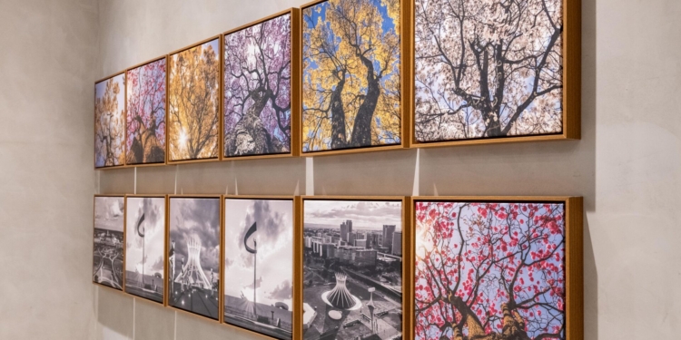 Pátio Brasil Shopping homenageia a cidade com exposição fotográfica “Brasília 65 anos, Cores e Traços”