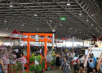 Festival do Japão Brasília confirma nova data e celebra 130 anos de amizade entre Brasil e Japão