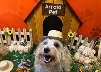 4º Arraiá Pet Solidário arrecada verba para ONGs de proteção animal