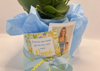 “Jardim dos Avós”: Remembear lança coleção encantadora para o Dia dos Avós