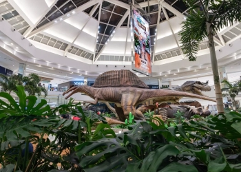 Park Shopping recebe, de 9 de agosto a 7 de setembro, a Exposição Mundo Jurássico