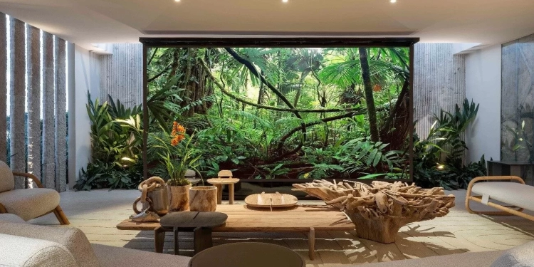 Michelle Nogueira estreia coluna no Estilozzo com matéria sobre Neuroarquitetura presente na CASACOR Brasília 2025