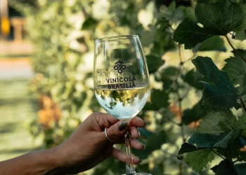 Vinícola Brasília faz história ao conquistar medalha no The WineHunter Award 2025