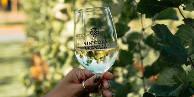 Vinícola Brasília faz história ao conquistar medalha no The WineHunter Award 2025